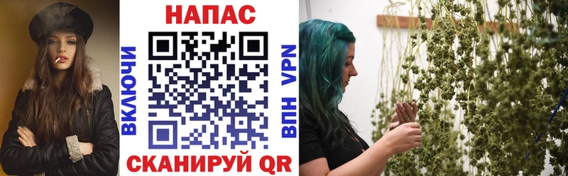 Бошки марихуана план  где купить   Советск 
